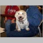 Friday Guitar 05.jpg